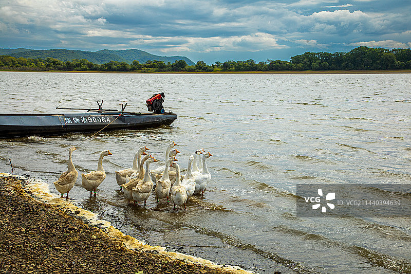 饶河乌苏里江秋天风景图片素材