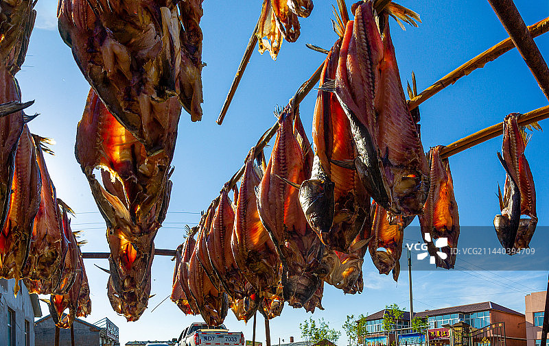赫哲族晾晒鱼干图片素材