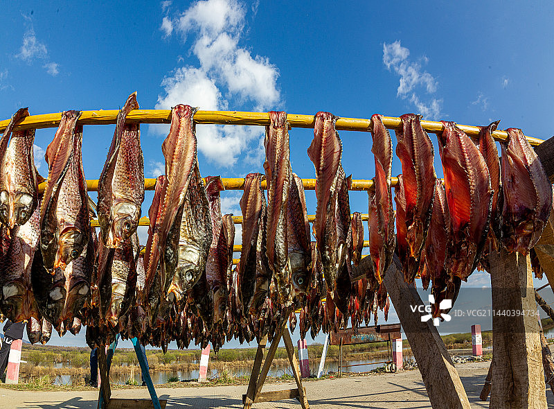 赫哲族晾晒鱼干图片素材