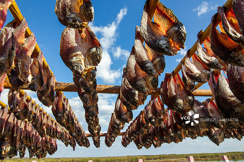 赫哲族晾晒鱼干图片素材