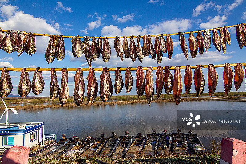 赫哲族晾晒鱼干图片素材