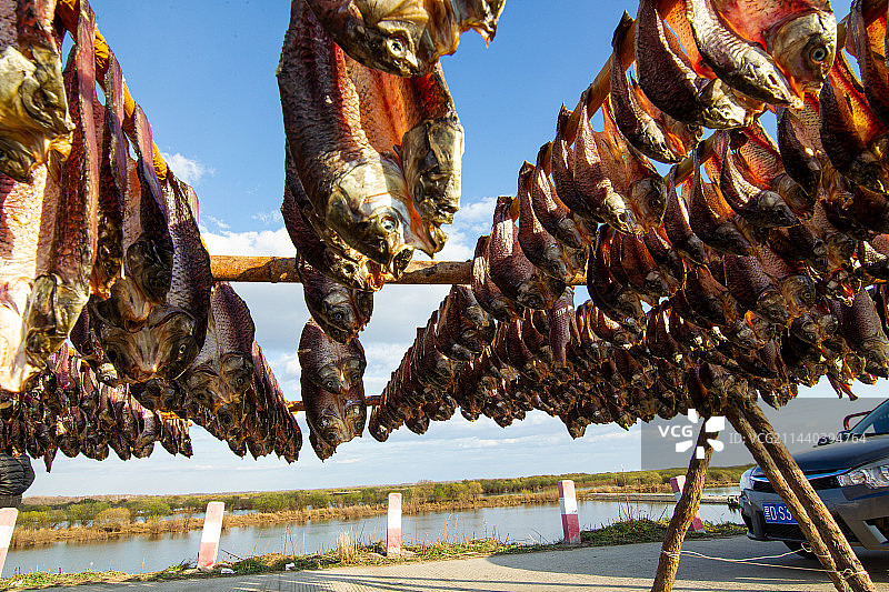赫哲族晾晒鱼干图片素材