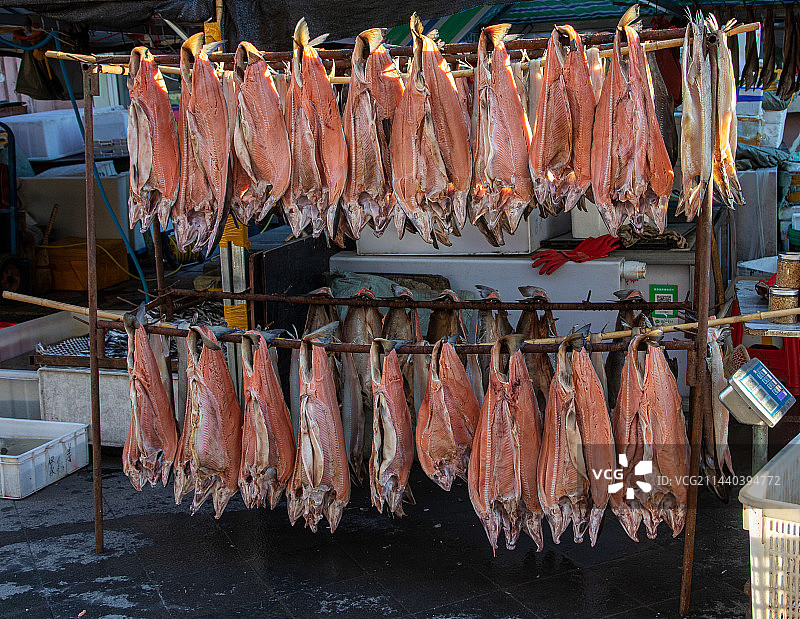 晾晒的大马哈鱼匹子图片素材