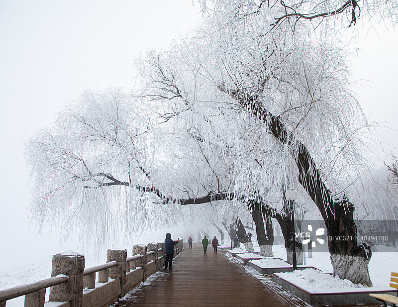 松花江雾凇图片素材