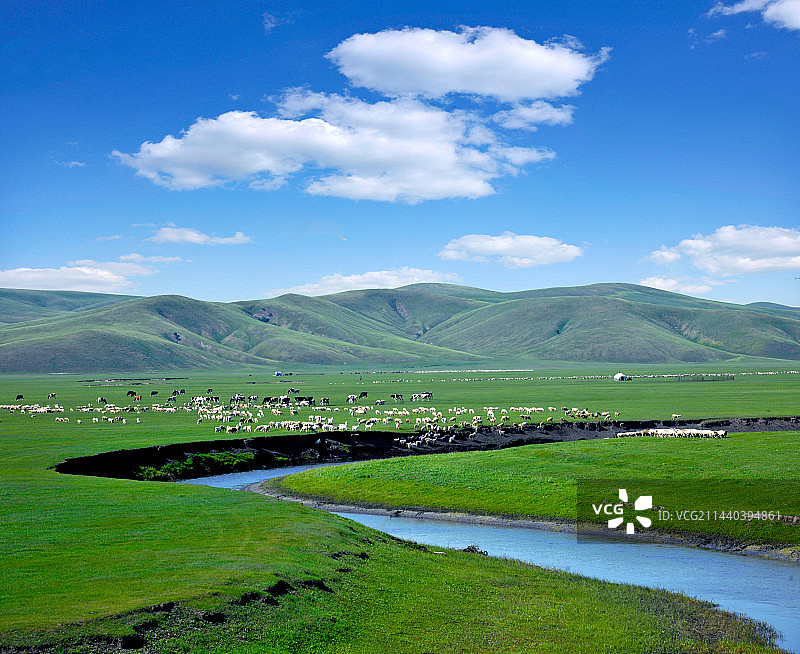 内蒙古呼伦贝尔 “中国第一曲水”莫尔格勒河畔金帐汗蒙古部落草原的羊群、马群、牛群；图片素材