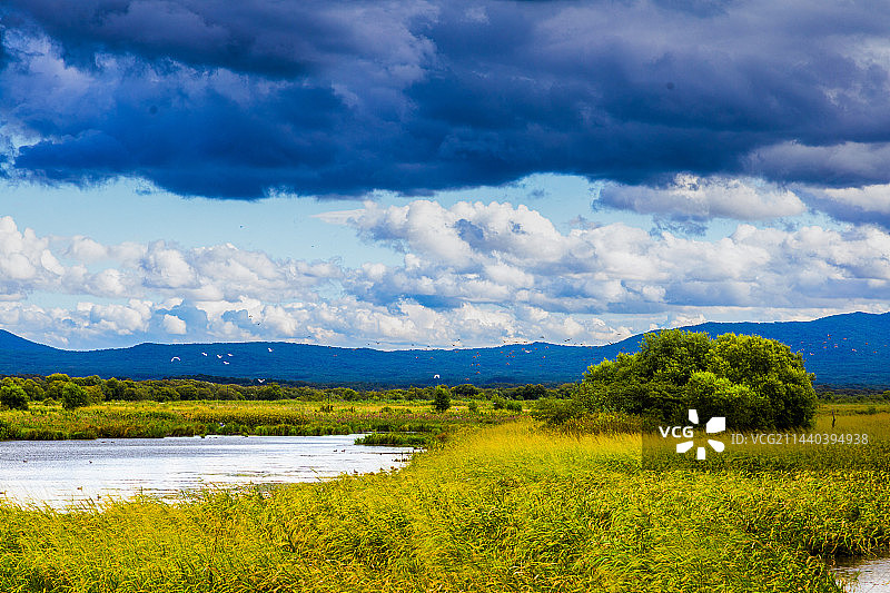 乌苏里江湿地风光图片素材