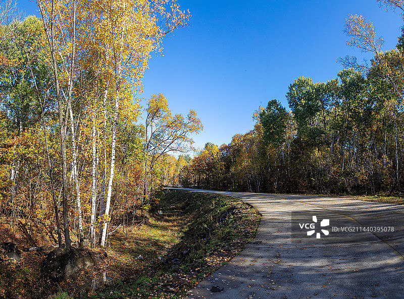 完达山森林秋色图片素材