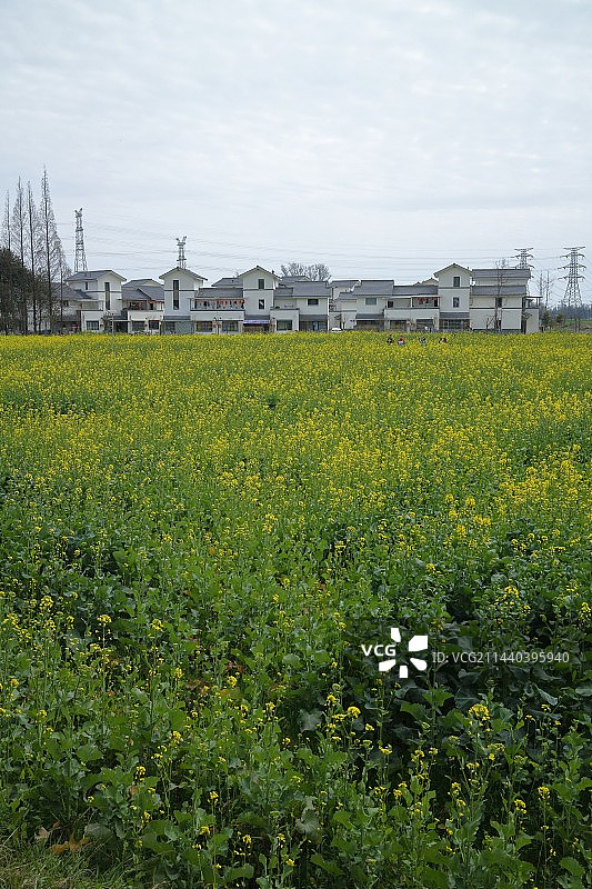 四川成都道明镇新农村新家园图片素材