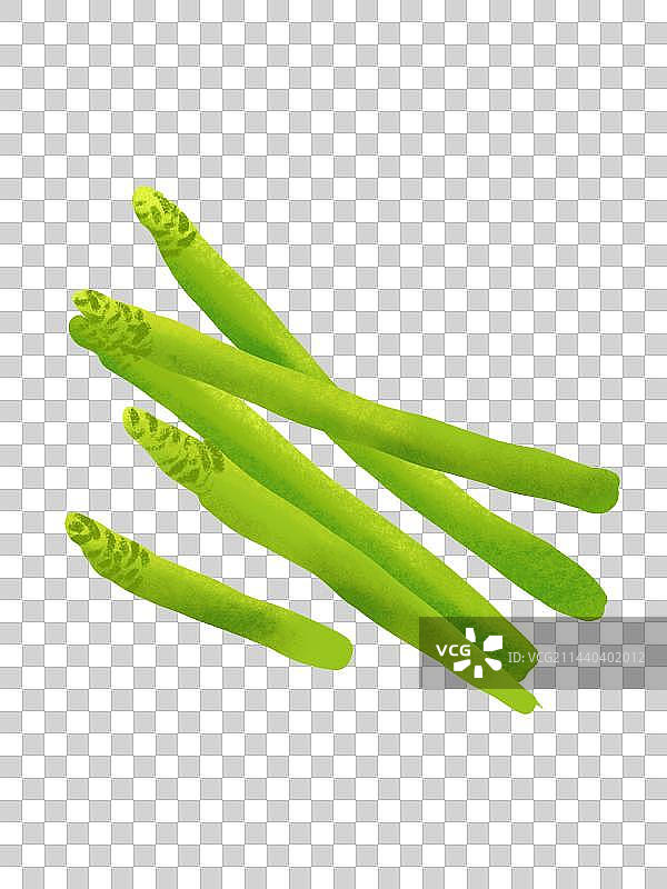 一把芦笋图片素材