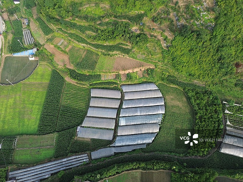 农业的高空窥视 生机勃勃的生命图片素材