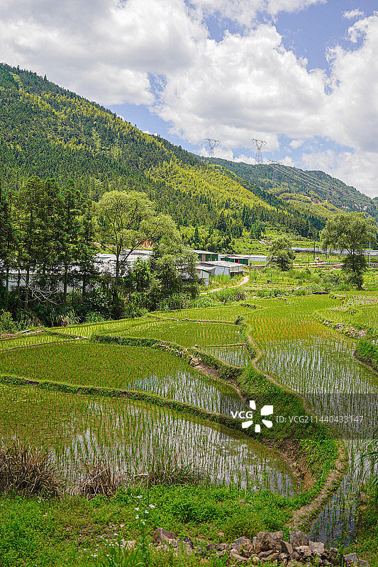 福建乡村的梯田图片素材