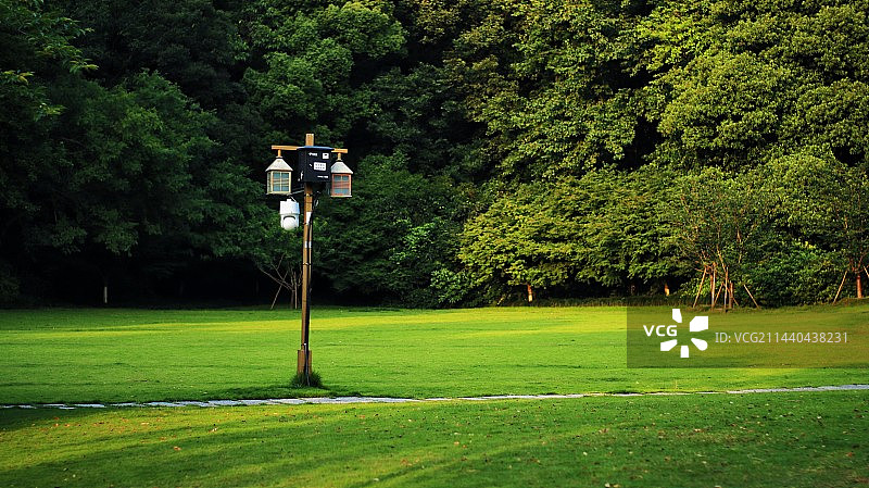 西湖景区孤山公园草坪图片素材