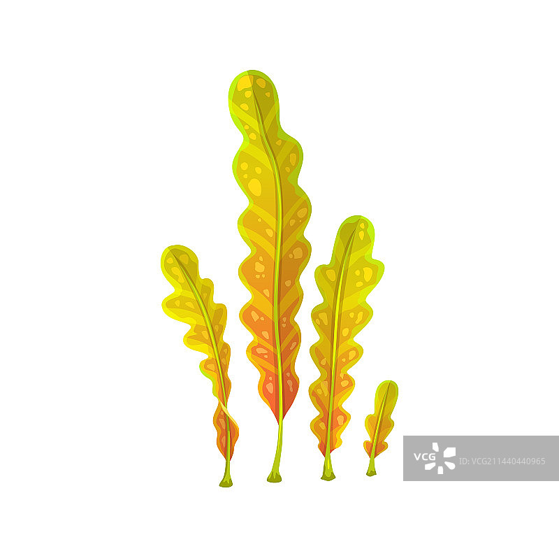 水下海带海藻水族箱藻类卡通图片素材