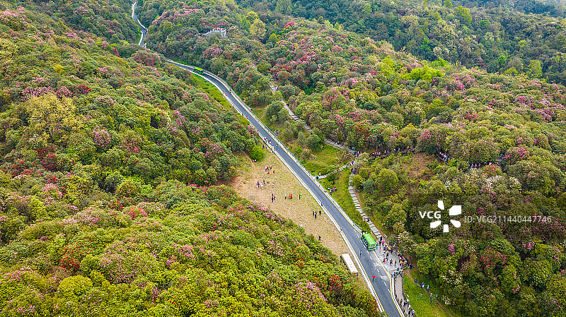百里杜鹃风景名胜区图片素材