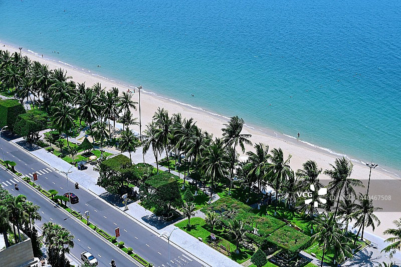 海滩上棕榈树的高角度视图图片素材