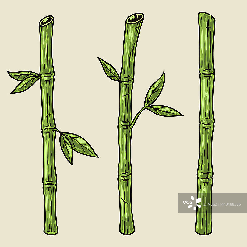 竹枝绿色徽章图片素材