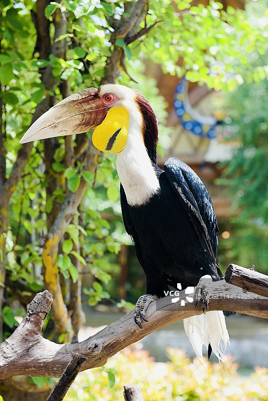 银基动物王国图片素材