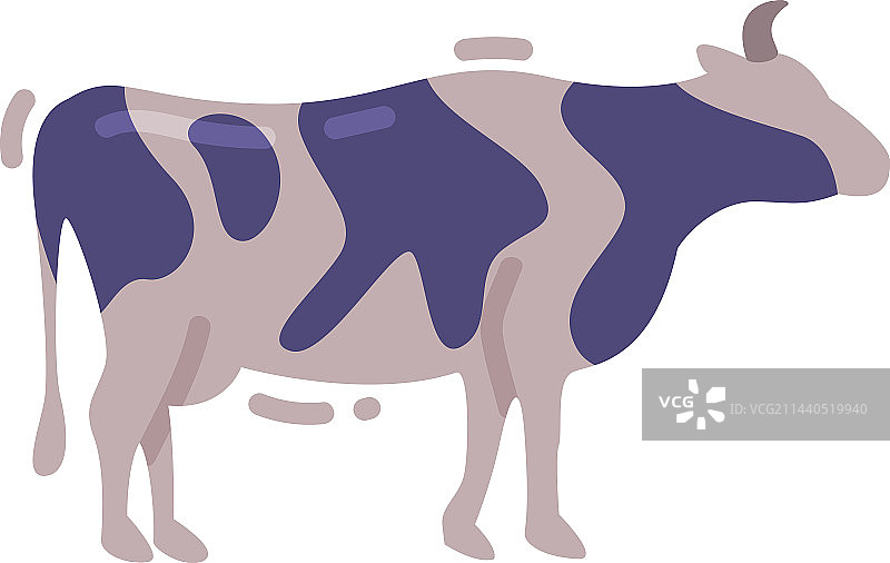 作为家养有蹄类食草动物的牛图片素材
