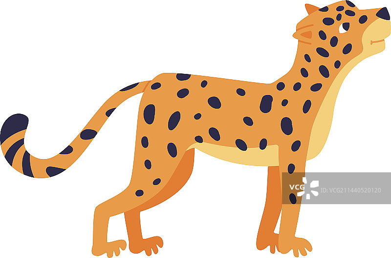 可爱的野生小豹图片素材