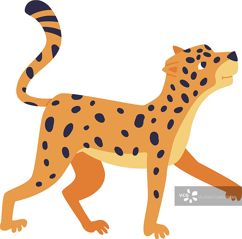可爱斑点非洲豹子图片素材