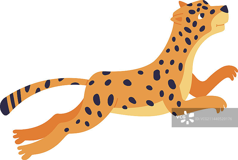 可爱斑点非洲豹子图片素材