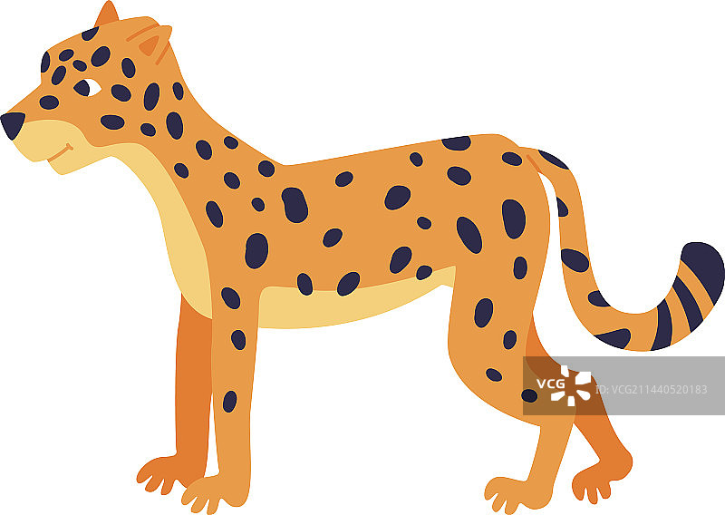 可爱斑点非洲豹子图片素材