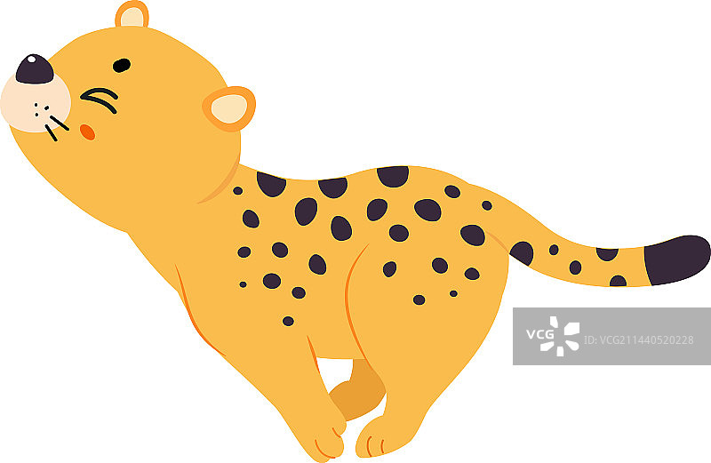 快速奔跑的可爱豹子或美洲虎幼崽图片素材