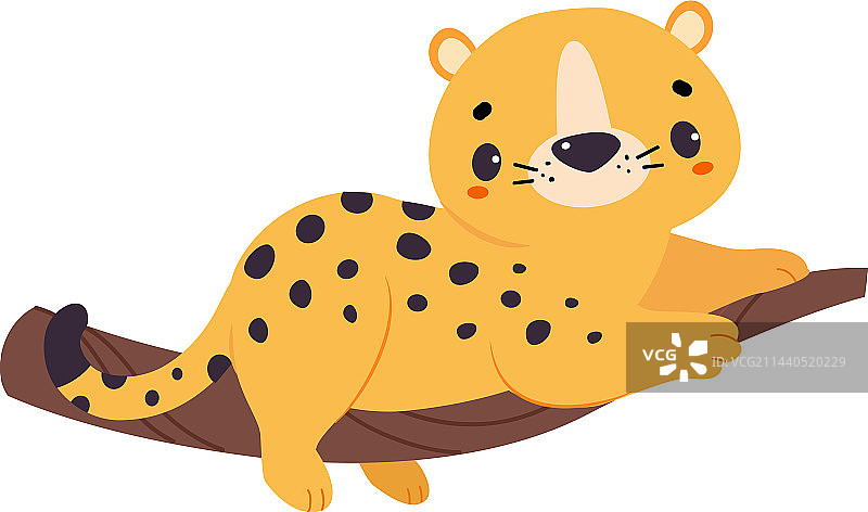 可爱的豹子或美洲虎幼崽躺在树枝上图片素材