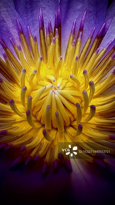 自然美图片素材