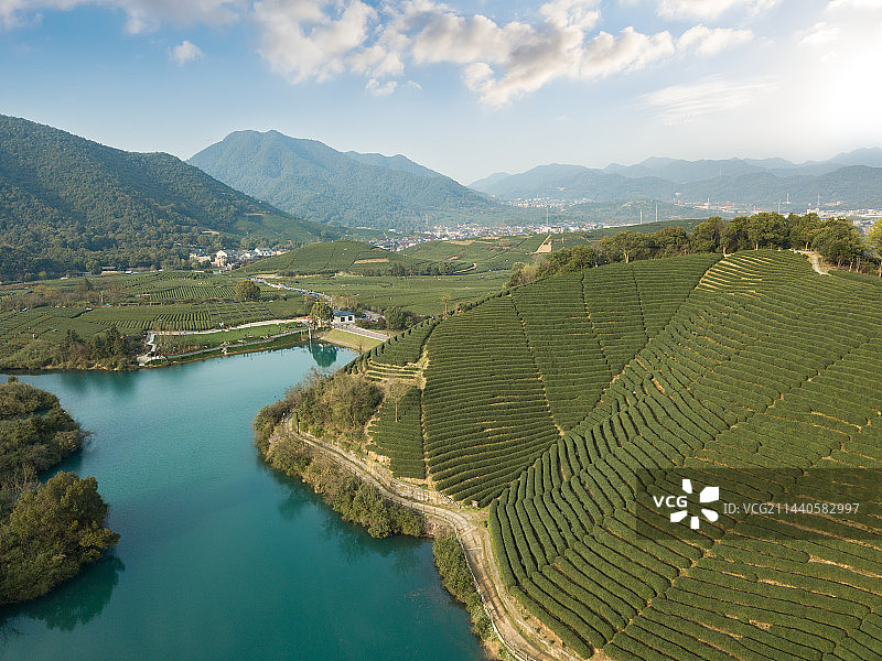 无人机航拍杭州茶园自然风光图片素材