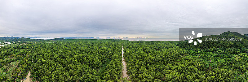 广东珠海淇澳岛红树林航拍全景图片素材