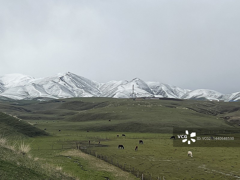 夏季草场图片素材