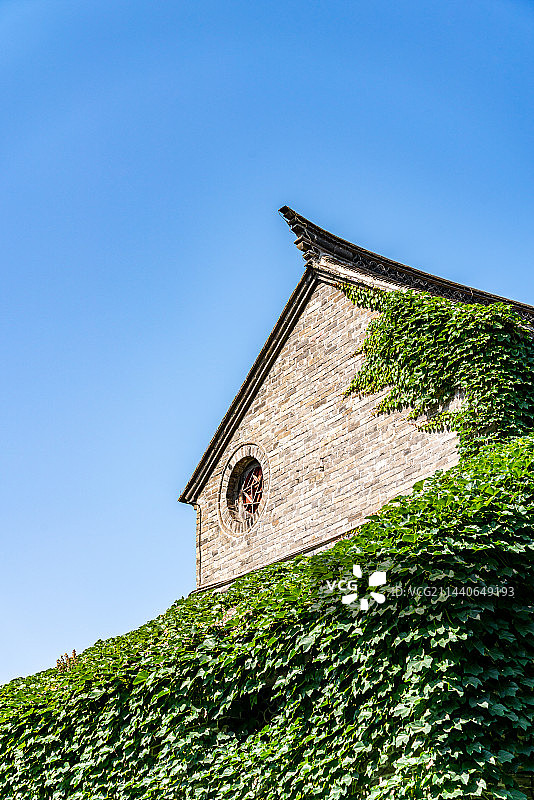 纯净蓝天与爬山虎植物映衬中的江苏徐州户部山古民居特写镜头图片素材