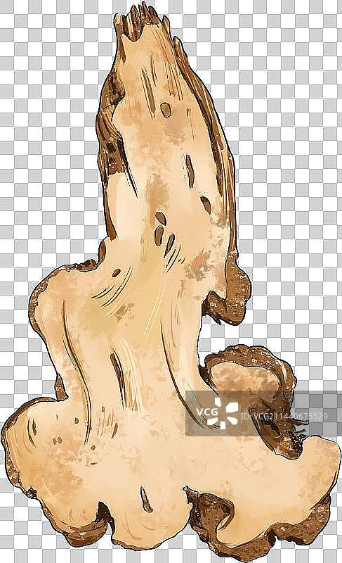 中草药白术免扣素材图片素材