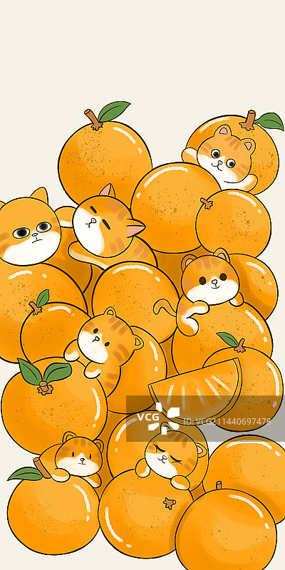 橘子猫手机壳图片素材