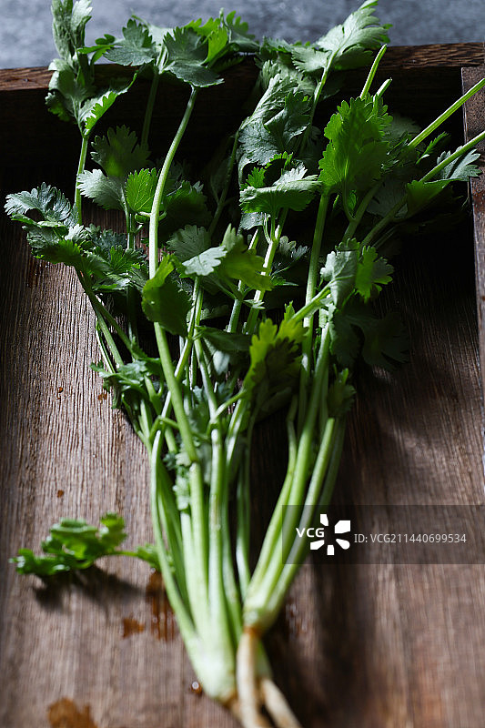 香菜大蒜辣椒小葱图片素材