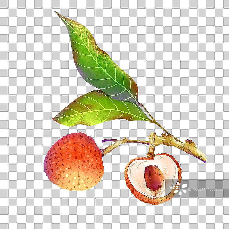 荔枝免抠素材图片素材
