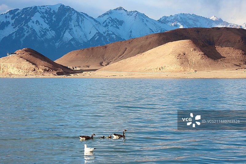 班公湖的傍晚图片素材