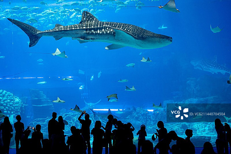 珠海长隆海洋王国图片素材