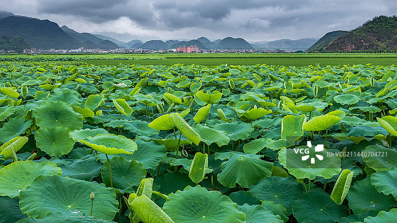 云南  普者黑风景区图片素材
