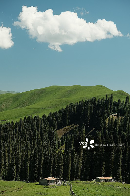 夏季绿色的景色图片素材