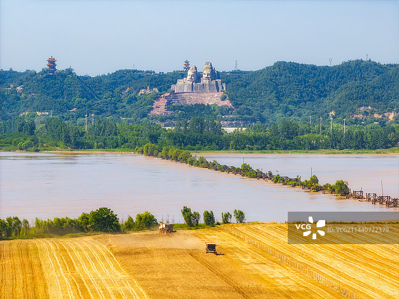 河南省郑州市黄河风景区（郑州黄河文化公园）炎黄二帝雕像与麦田芒种时节夏季户外航拍图片素材