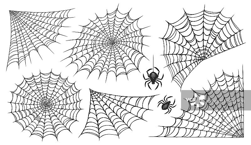白色背景上的孤立蜘蛛网图片素材
