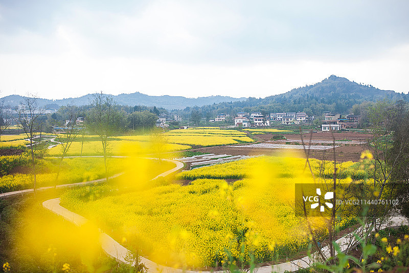 乡村农忙油菜花图片素材