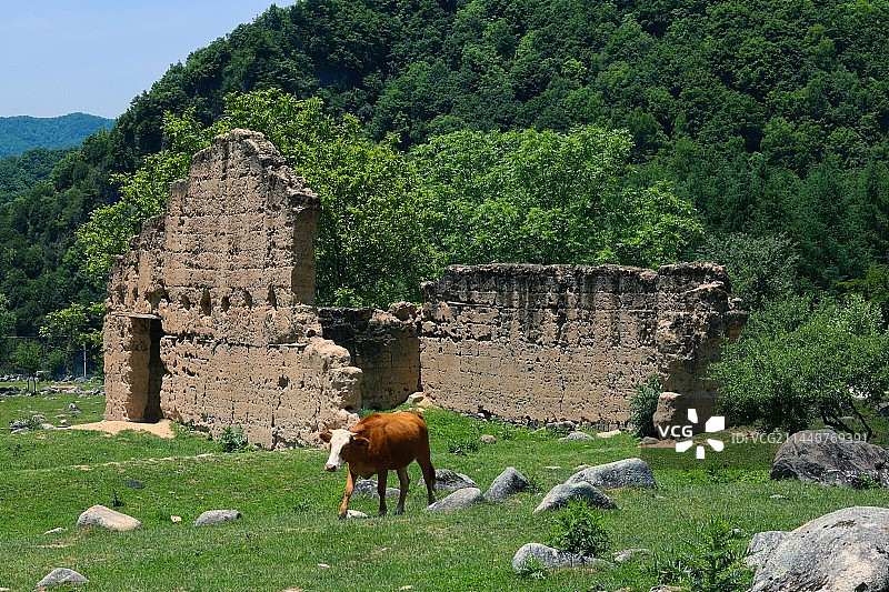 陕西汉中留坝狮子沟牧场图片素材