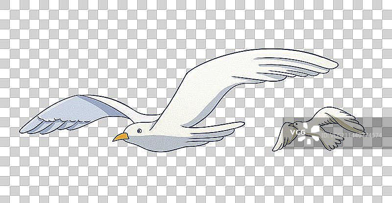 海滩度假海鸥插画元素图片素材