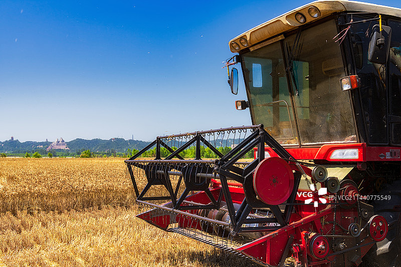 河南省郑州市黄河风景区（郑州黄河文化公园）炎黄二帝雕像与麦田夏季芒种时节收获场景图片素材