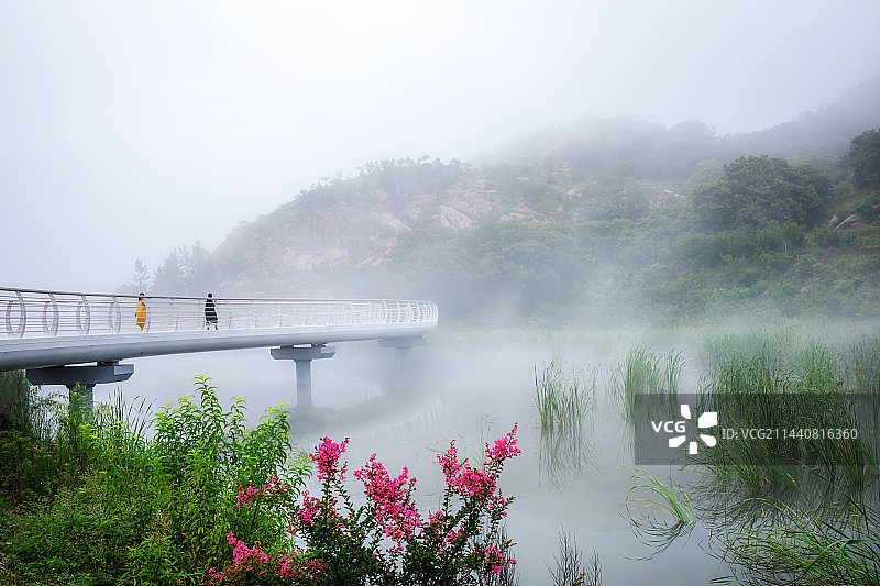 仙境五莲图片素材