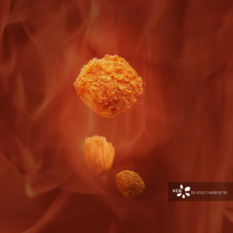 肉松小贝图片素材