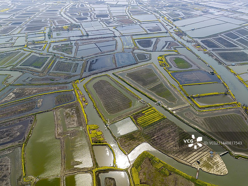 江苏兴化：里下河“八卦”村落刘泽村图片素材